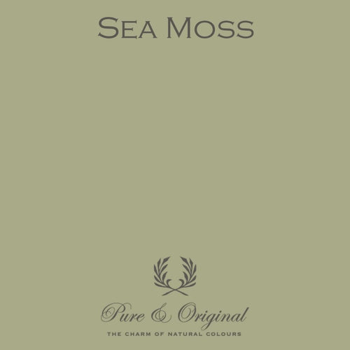 Pure & Original - Sea Moss - Cara Conkle