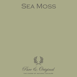 Pure & Original - Sea Moss - Cara Conkle