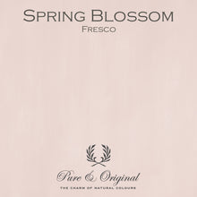 Pure & Original Paint - Fresco Lime Paint-Spring Blossom - sold by Cara Conkle Decorative Finishes 