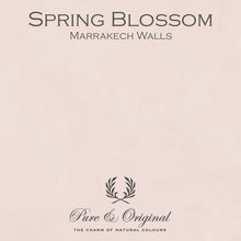 Pure & Original Paint - Marrakech Lime  Paint/Plaster-Spring Blossom - sold by Cara Conkle Decorative Finishes 