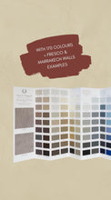 Pure & Original Paint - Hand Painted Color Card - mineral and lime based paint/plaster - Cara Conkle Decorative Finishes