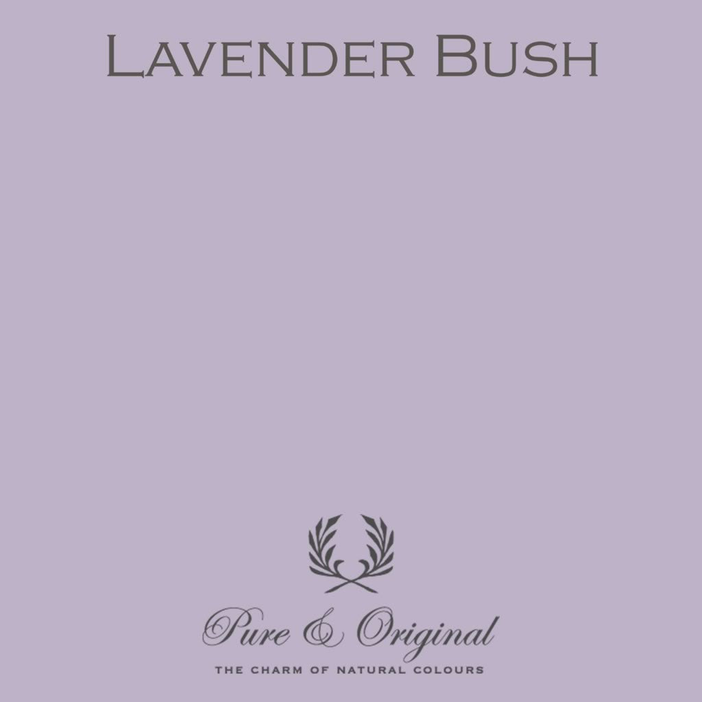 Pure & Original - Lavender Bush - Cara Conkle