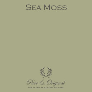 Pure & Original - Sea Moss - Cara Conkle